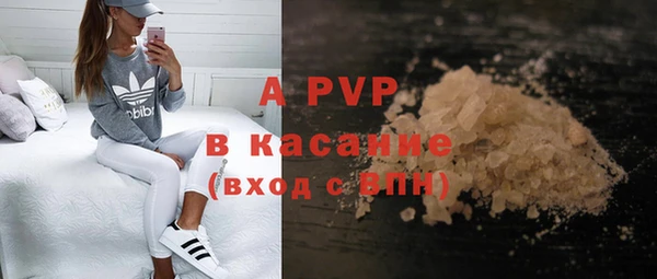 apvp Верея