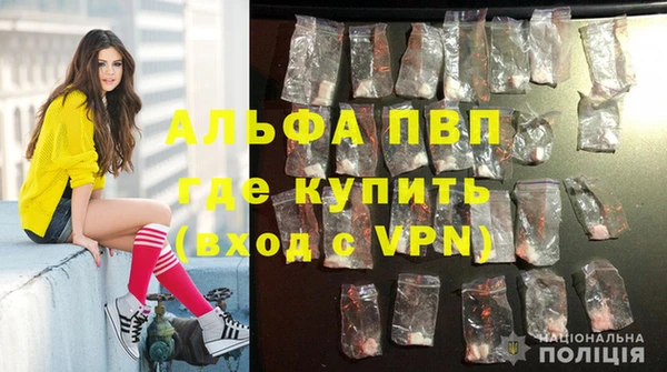 apvp Верея