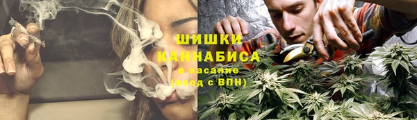 apvp Верея