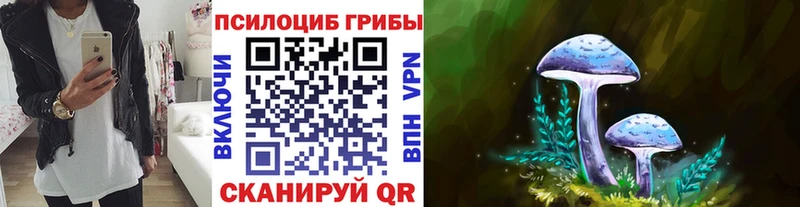 kraken маркетплейс  Пятигорск  Галлюциногенные грибы ЛСД  где купить наркоту 